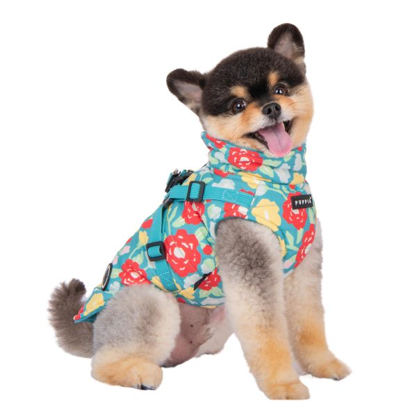 Puppia Alyssa Coat with Harness